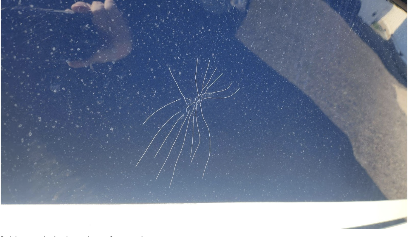 Spider cracks in the gelcoat from an impact
